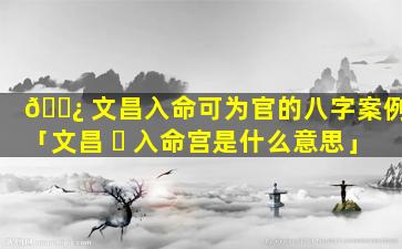 🌿 文昌入命可为官的八字案例「文昌 ☘ 入命宫是什么意思」